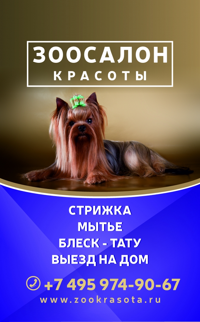 Ветеринарная клиника 